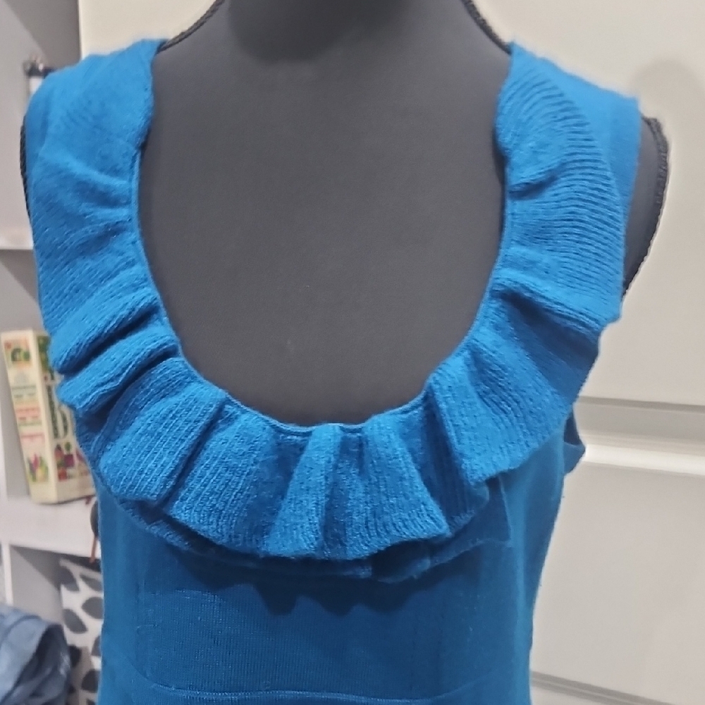 Banana Republic Ruffled Blue Mini Dress - Picture 8 of 8